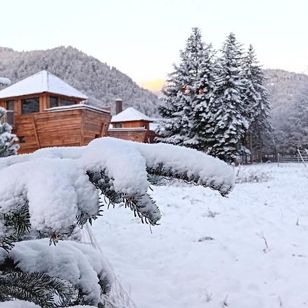 Escale Cab'Ane Hotel Mittlach Екстериор снимка